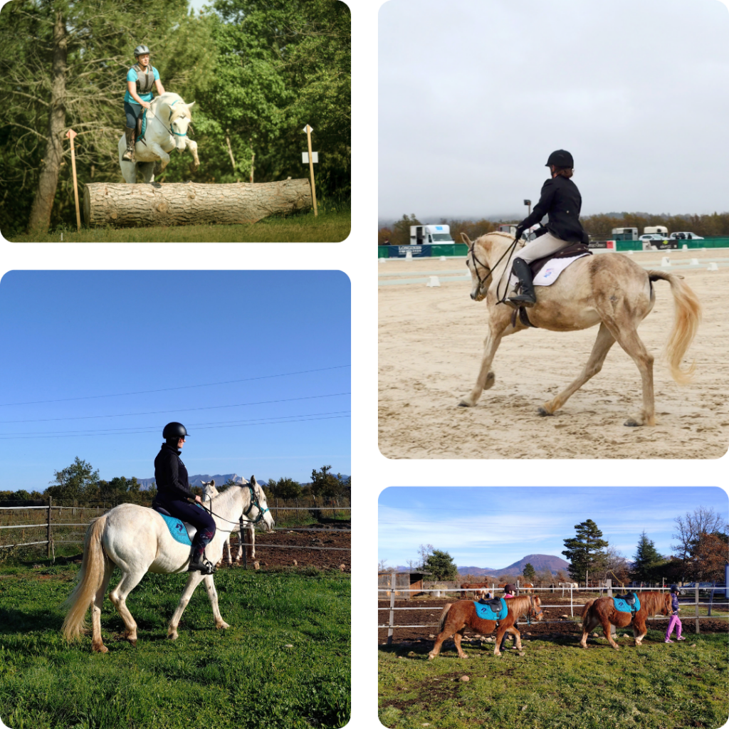 Cours équitation solo duo pedagogie TREC dressage CSO ethologie