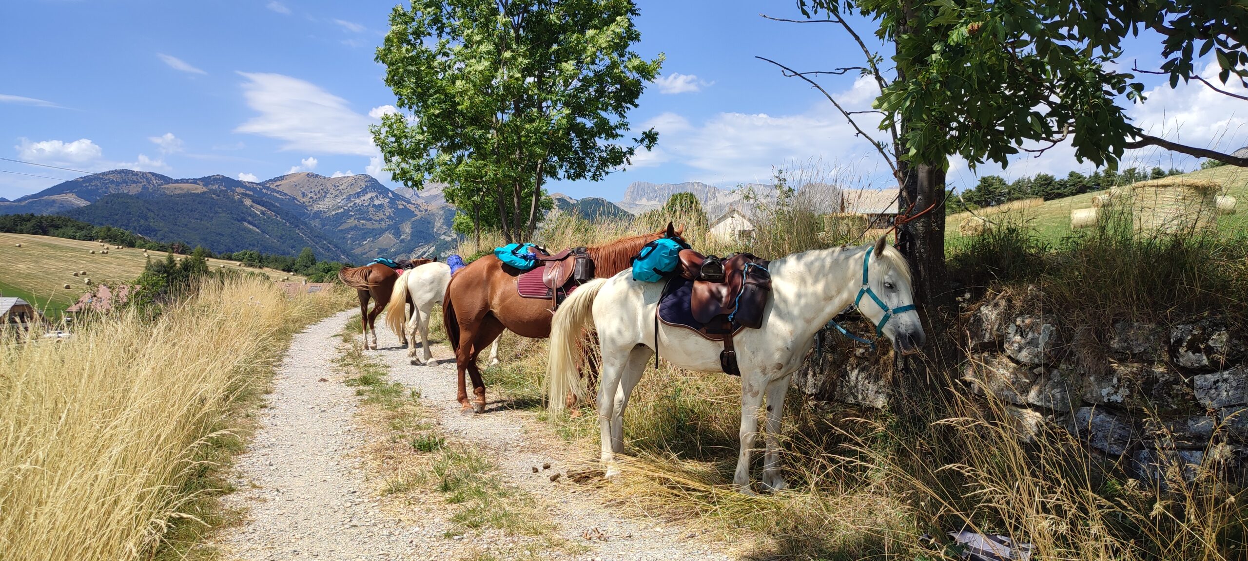 Randonnée cheval tour du Devoluy