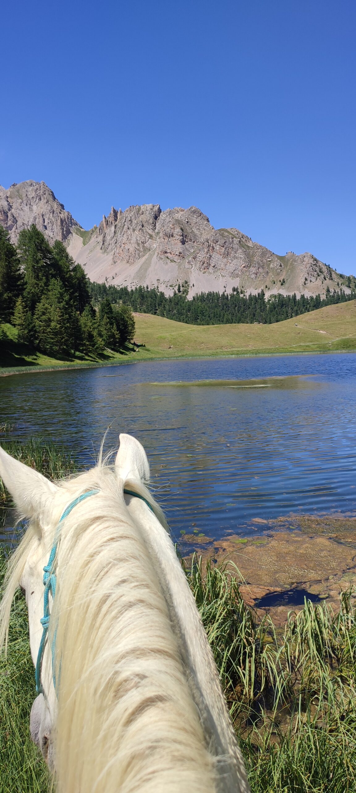 Queyras lac miroir cheval