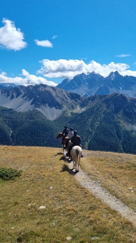 Queyras, jour 2 : le Col Fromage et le Col des Estronques.

Une journée longue et difficile (15 km en altitude, 918m D+, un passage à 2514m), plus technique, plus aérienne que la veille... Pas de lac aujourd'hui, mais quelle vue époustouflante 1000 m dessus de la vallée !

_________________________

Salut ! 🙋Je suis Vaïana et je t'emmène visiter les @alpesdehauteprovence et les @myhautesalpes à cheval ! 🏇

👩‍🎓 Je suis diplômée BPJEPS, ATE et BFEE2, et je t'aide aussi à mieux communiquer avec ton cheval...
🆘 ... Et à résoudre tes problèmes avec lui !

🤝 Partenaire @sisteronbuech
☎️ +33 6 98 87 57 67
📨 grandboismison@gmail.com
👩‍💻 www.grandboismison.com
📍 Le Grand Bois, 04200 Mison

#sisteronbuech #equitation #bienetreequin #centreequestre #fermeequestre #cheval #pensioncheval #tourisme #equestre #balade #cours #randonnee #ethologie #natural #horsemanship #jobpassion #voyageàcheval