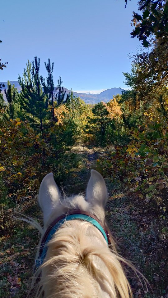 Couleurs d'automne au Grand Bois sous un magnifique soleil qui nous a réchauffés...

Ce n'est pas encore l'hiver, réservez votre prochaine balade !

_________________________

Salut ! 🙋Je suis Vaïana et je t'emmène visiter les @alpesdehauteprovence et les @myhautesalpes à cheval ! 🏇

👩‍🎓 Je suis diplômée BPJEPS, ATE et BFEE2, et je t'aide aussi à mieux communiquer avec ton cheval...
🆘 ... Et à résoudre tes problèmes avec lui !

🤝 Partenaire @sisteronbuech
☎️ +33 6 98 87 57 67
📨 grandboismison@gmail.com
👩‍💻 www.grandboismison.com
📍 Le Grand Bois, 04200 Mison

#sisteronbuech #equitation #bienetreequin #centreequestre #fermeequestre #cheval #pensioncheval #tourisme #equestre #balade #cours #randonnee #ethologie #natural #horsemanship #jobpassion #voyageàcheval