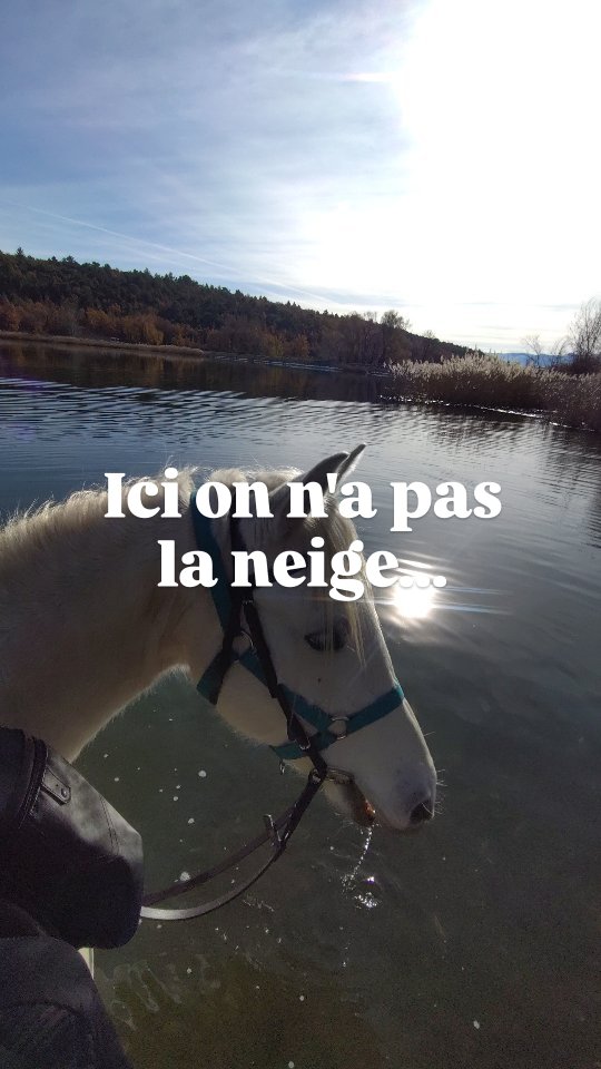 Ici on n'a pas la neige en hiver... Mais on a le soleil et le lac !
👉 Réserve ta prochaine balade sur www.grandboismison.com !

_________________________

Salut ! 🙋Je suis Vaïana et je t'emmène visiter les @alpesdehauteprovence et les @myhautesalpes à cheval ! 🏇

👩‍🎓 Je suis diplômée BPJEPS, ATE et BFEE2, et je t'aide aussi à mieux communiquer avec ton cheval...
🆘 ... Et à résoudre tes problèmes avec lui !

🤝 Partenaire @sisteronbuech
☎️ +33 6 98 87 57 67
📨 grandboismison@gmail.com
👩‍💻 www.grandboismison.com
📍 Le Grand Bois, 04200 Mison

#sisteronbuech #equitation #bienetreequin #centreequestre #fermeequestre #cheval #pensioncheval #tourisme #equestre #balade #cours #randonnee #ethologie #natural #horsemanship #jobpassion #voyageàcheval