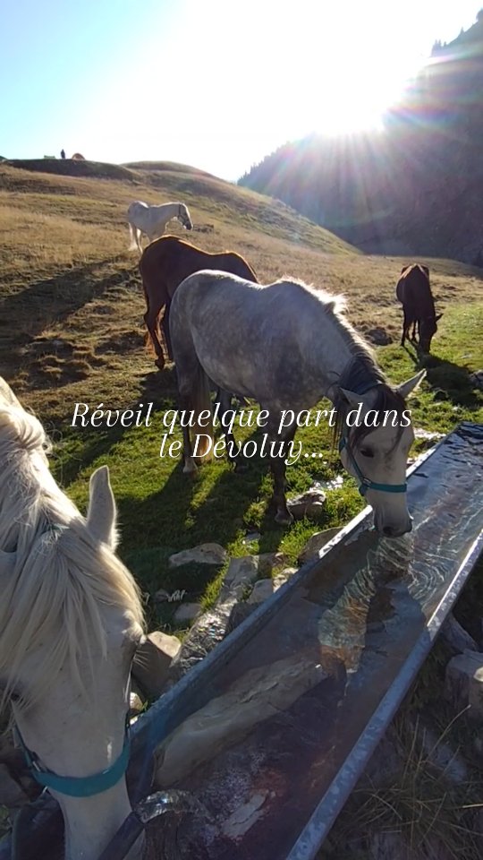 Un réveil quelque part dans le Dévoluy... Là où le temps ralentit. Là où les chevaux vivent en liberté. Où la montagne respire, où une simple cabane d’alpage suffit à vivre l’essentiel.

Ici dans le Dévoluy, je me rappelle pourquoi j’ai choisi cette vie : marcher moins vite, écouter plus, ressentir plus, et laisser les chevaux être… Des chevaux !

🤍🐎🌿

#devoluy #chevauxenliberté #viealpage #slowlife #horsesofinstagram