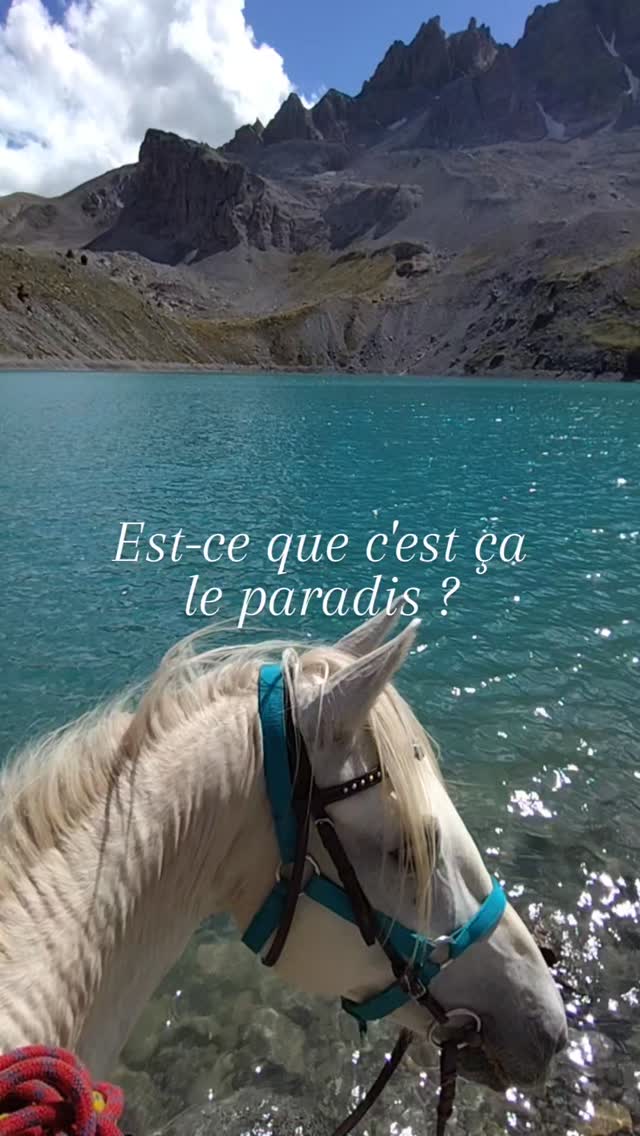 "La différence entre un rêve et la réalité c'est une date !"
Et toi quand est-ce que tu réserves ta rando de rêve pour 2026 ???

👉 https://grandboismison.addock.com

.

#randonnéecheval #queyras #hautesalpes #lacsainteanne #equitationpleinenature
