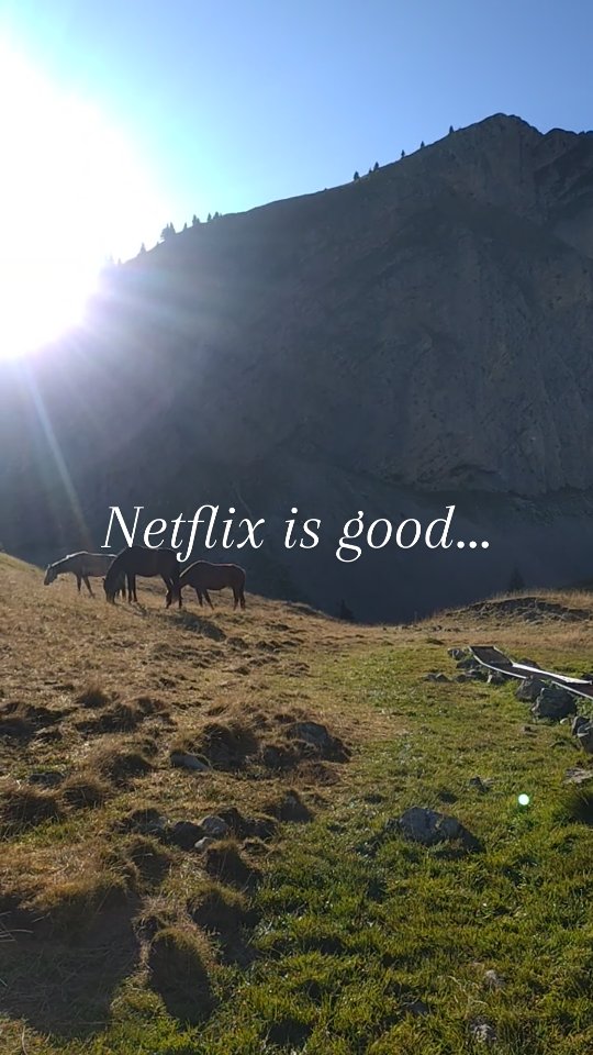 I prefer reality !

Si toi aussi tu préfères les paysages bien réels de nos magnifiques Alpes du Sud, c'est le moment de nous rejoindre sur https://grandboismison.addock.co/ !

.

#adventure #travel #explorer #horse #alps