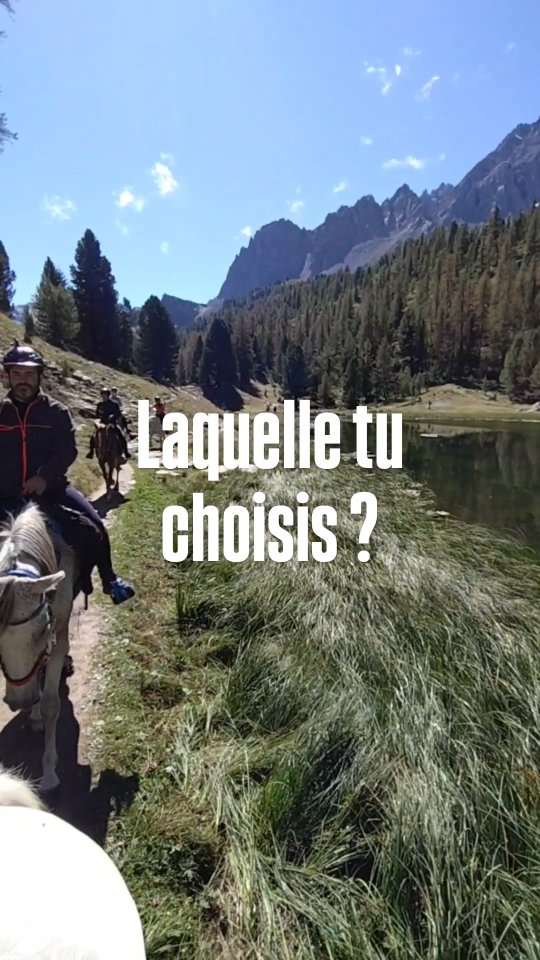 Dis-moi en commentaire 👇👇

https://grandboismison.com

.

#rando #cheval #deconnexion #vacances #montagne