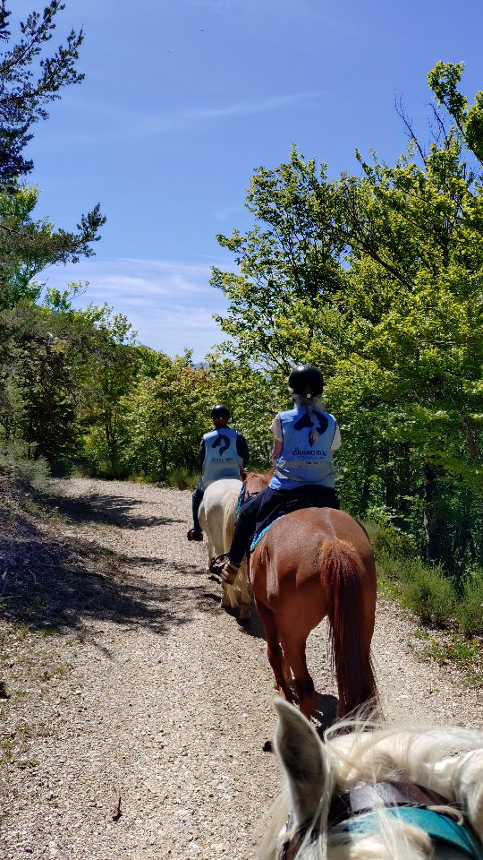 Et si cet été tu faisais autrement ?? Commente GO pour recevoir toutes les infos !

https://grandboismison.com

.

#cheval #rando #deconnexion #bienetre #sisteronbuech