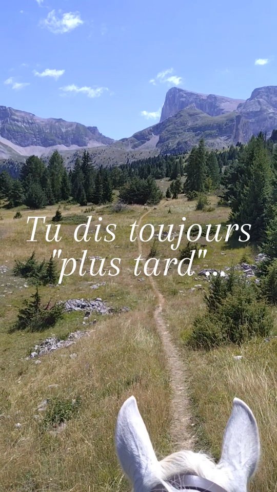 Enregistre ça pour t'en souvenir !

Ta rando à cheval de cet été, c'est maintenant que ça se réserve 😉

👉 https://grandboismison.addock.co/