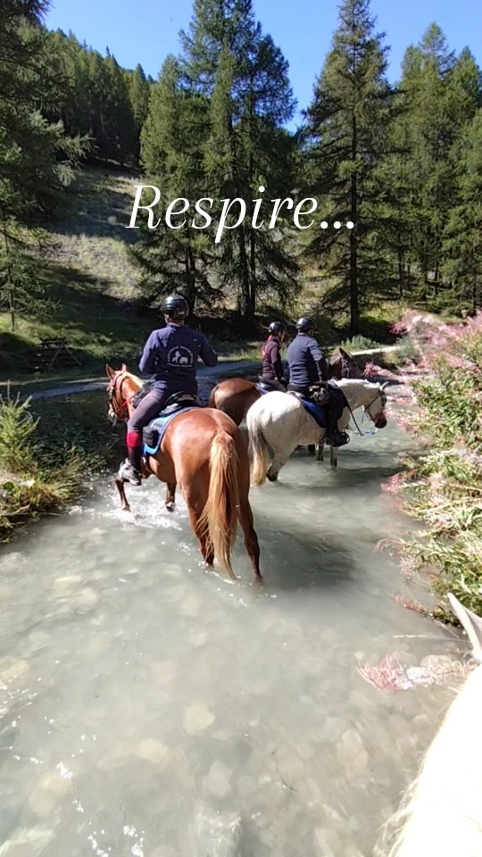 Ferme les yeux et imagine... Le bruit du vent dans la crinière de ton cheval... Le bruit de la rivière qu'on va traverser... Le bruit des sabots sur les cailloux... Le chant des grillons au coucher du soleil...

Tu imagines ta prochaine rando au Grand Bois ?

C'est par ici 👉 https://grandboismison.com