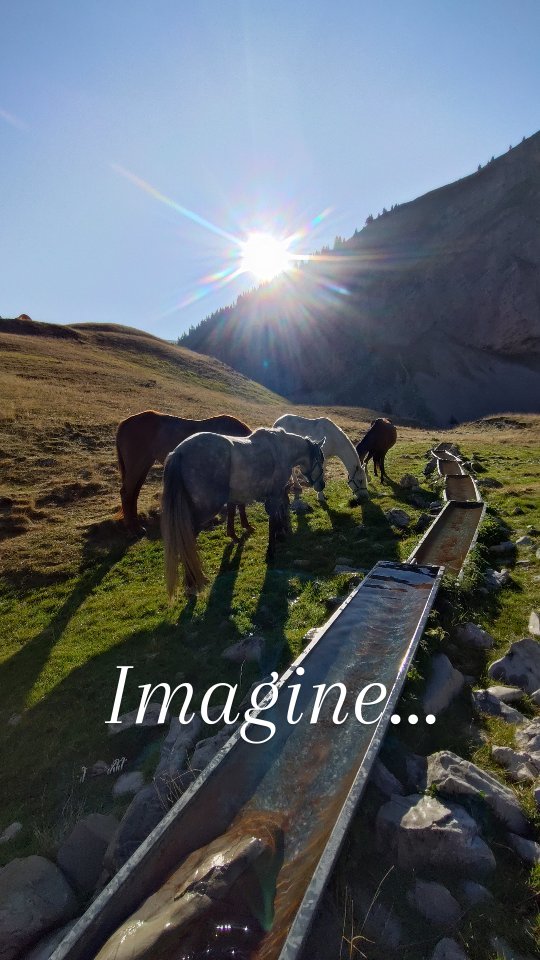 Tu viens ??

👉 https://grandboismison.addock.co/