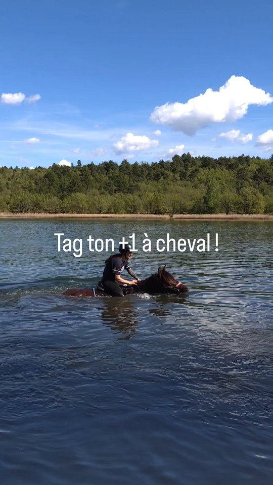 Tag ton +1 qui devra t'emmener faire une balade à cheval au Lac de Mison !

C'est le bon moment pour réserver sur https://grandboismison.addock.co 🤫

🇬🇧 We speak english 😉

.

#cheval #alpesdehauteprovence #vacances #baignade #lac