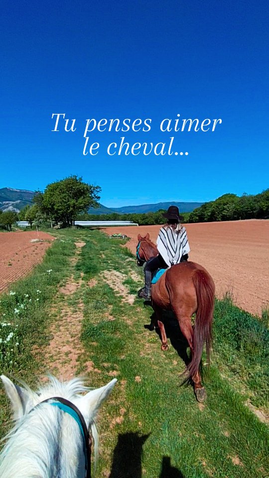 Depuis hier Cassandre est en formation à la randonnée pour devenir autonome avec son futur cheval ! Objectif de la semaine : préparer une randonnée de 2 jours pour le weekend prochain !

Orientation, topographie, maréchalerie, soins vétérinaires d'urgence, premiers secours, matelotage, bourrellerie, bâtage, bagagerie... Mais surtout création du lien avec le cheval, confiance et connexion pour être en sécurité ! Nous avons une semaine pour aborder tous ces sujets afin qu'elle reparte bien armée pour ses projets !

C'est presque un ATE en accéléré !

.

#rando #cheval #voyageàcheval #ethologie #horsemanship