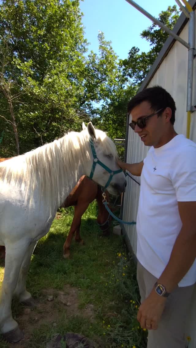 ✨ Rien ne nous touche plus que vos mots après une journée à cheval !

Aujourd’hui au lac de Mison, entre les sentiers, les chevaux, le silence des montagnes et les éclats de rire, il s’est passé exactement ce qu’on aime créer ici : un moment hors du temps 🐎🤍

Merci pour ce témoignage, pour votre confiance et pour cette belle énergie partagée aujourd’hui !
Parce qu’au fond, une randonnée équestre ce n’est jamais "juste une balade" : c’est avant tout des rencontres, une expérience, une déconnexion, une aventure… Et souvent un souvenir qu’on garde longtemps.

📍Qui vient découvrir le lac de Mison à cheval avec nous cet été ?

💌 Réservations en MP ou sur https://grandboismison.addock.co/

#randonnéeéquestre #provenceàcheval #lacdemison #tourismeprovence