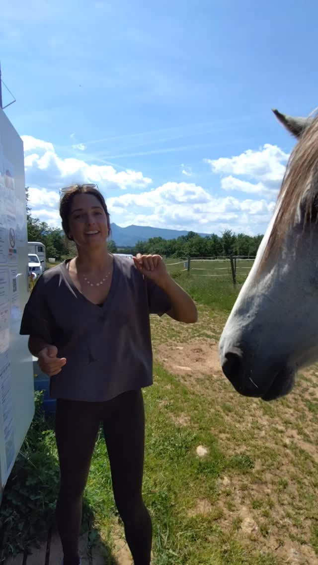 Julie est repartie enchantée de sa journée à cheval en amoureux avec son compagnon ! Et c'était vraiment une belle journée avec eux ! Je les remercie infiniment de venir partager cette passion des chevaux !

Ici, votre sécurité est ma priorité. J'adapte toujours le rythme à votre niveau et vos attentes 😉 Pas de pression ! Vous êtes tous les bienvenus quel que soit votre niveau !

.

#equitation #cheval #rando #equestre #ethologie