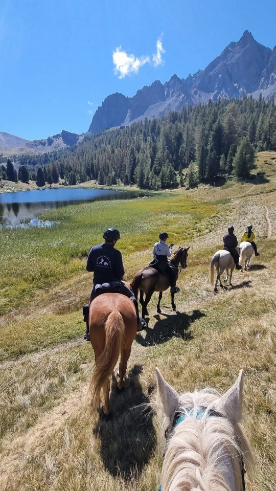 Partir en randonnée à cheval, c'est déjà une aventure...

Mais la vivre avec SON cheval, c'est une expérience totalement différente ! ✨

Depuis l'an dernier tu peux rejoindre nos randonnées avec ton propre compagnon.

Parce que personne ne connaît ton cheval mieux que toi. Parce qu'aucune monture ne remplacera la complicité que vous avez construite au fil des années. Parce que certains souvenirs méritent d'être vécus ensemble.

Au programme :
🐴 Des itinéraires sélectionnés pour le plaisir des chevaux et des cavaliers
🏔️ Des paysages grandioses
🔥 Une ambiance conviviale entre passionnés
📍 Une organisation pensée pour accueillir les chevaux extérieurs dans les meilleures conditions

Alors, avec quel cheval tu veux partir à l'aventure ?

📩 Écris-moi en DM pour connaître les prochaines dates et les conditions de participation.

⚠️ Évidemment ton cheval doit être sociable avec les autres chevaux, habitué à la rando et au dénivelé, et entraîné selon le niveau de la rando à laquelle tu veux participer. On en parle avant en DM et on définit un plan d'entraînement si besoin.

Pour tout le reste, pas besoin de connaissances préalables, je te forme pendant la rando 😉

.

#voyageàcheval #randonneeacheval #aventure #equestre #equestrianlife