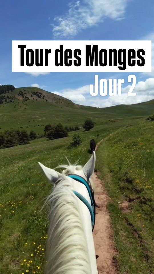 Certaines rando vous laissent indifférents, et d'autres vous transforment à chaque fois que vous y retournez !

Ici chaque cavalier verse généralement une petite larme devant l'immensité de ces paysages grandioses, perchés entre les crêtes acérées des montagnes des Monges...

On entre ici dans les paysages mystiques des moines de l'abbaye Saint-Victor de Marseille... Tu savais que ces pâturages de Clapouse leur avaient appartenu ??

Les rando à cheval c'est pas seulement du cheval et des paysages ! C'est aussi une leçon d'histoire sur le terrain, et parfois même de géologie ! Avis aux passionnés !

.

#rando #cheval #passioncheval #passionrando #montagnes