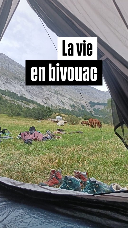 Des rires, de l'entraide, une cabane, une tente et un feu de cheminée pour réchauffer les cœurs !

C'est ça la vraie vie en bivouac. De la bonne humeur, prendre le temps de profiter de l'endroit et du moment, observer nos chevaux depuis la tente... Et se laver au tuyau de l'abreuvoir !

Si toi aussi tu veux apprendre à ralentir, contacte-moi en DM ! 

.

#randonneeacheval #slowtravel #slowlife #slowtourism #passionmontagnes