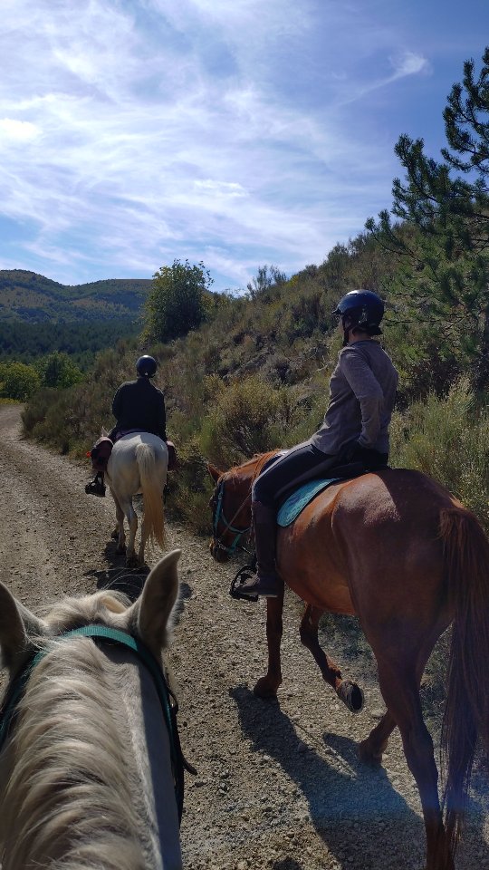 À 2€50 le litre et 150€ le plein, va falloir trouver des solutions les gars !

.

#slowtravel #slowtourism #onnousprendpourdescons #crackpetrolier #cheval