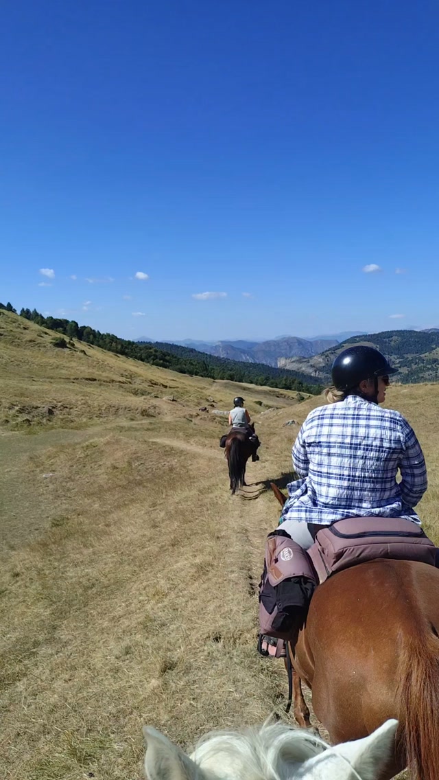 Entre ciel et terre, avec un petit air de Mongolie... 3 chevaux, trois humaines, un lac et un refuge perdu au milieu de nulle part ! Tu embarques avec nous ?

C'est ça la rando dans les Monges. Et l'an prochain je l'ouvre aux cavaliers avertis avec leur propre cheval. Il n'y aura que 2 places avec mes chevaux et 6 places pour des cavaliers avec leur propre cheval.

Une randonnée technique et exigeante, avec du dénivelé, des passages à gué, mais des paysages à couper le souffle ! Infos en DM !

.

#randocheval #alpesdehauteprovence #montagne #cavaliers #proprietaires