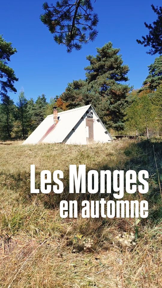 Les Monges se parent de leur manteau aux couleurs d'or, avant que n'arrive bientôt un manteau blanc...

Dernières balades dans ces montagnes que vous êtes venus parcourir avec moi cet été... Merci à tous pour cette belle saison, place aux travaux d'hiver maintenant !

.

#winteriscoming #alpesdehauteprovence #cheval #equitation #tourismeequestre