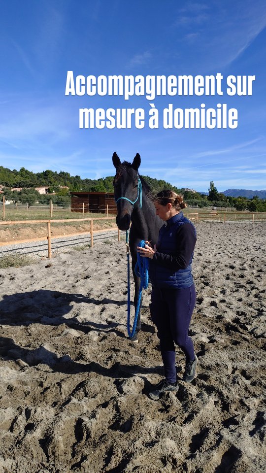 Je vous rappelle que, comme chaque hiver, je me déplace pour vos séances de travail avec vos chevaux !

Besoin d'aide pour l'éducation de votre cheval ? Débourrage ? Remise en confiance ? Besoin de résoudre une problématique particulière ? Je m'adapte à vos objectifs, même de compétition !

Mais toujours dans le respect de l'éthologie et avec bienveillance et pédagogie !

📬 Réserve ta séance en DM !

.

#ethologie #equine #educationducheval #horsemanship #debourrage