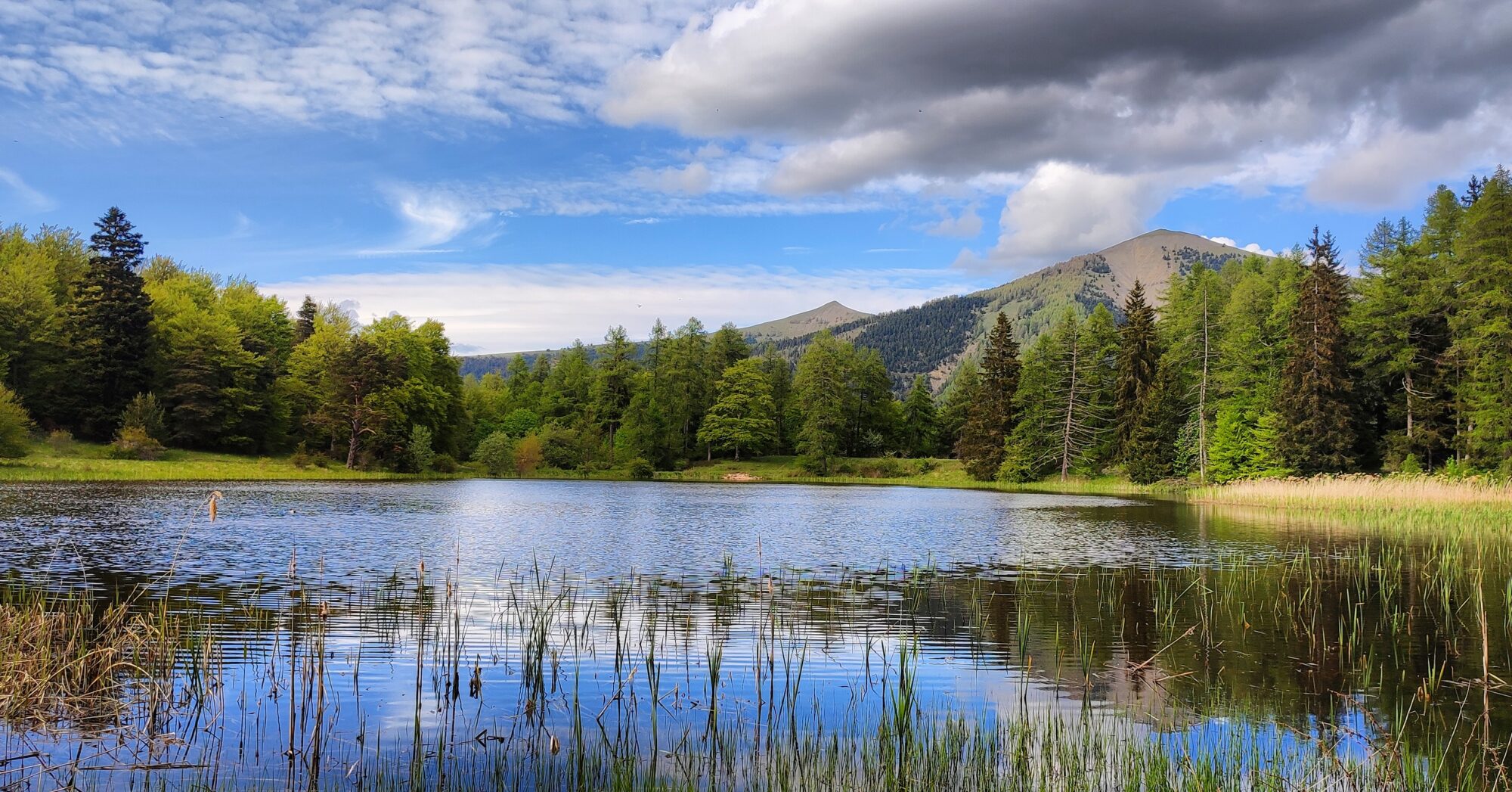 lac des monges à cheval