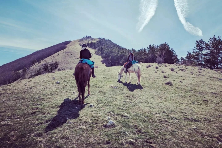 340775430_1294189384835785_7083740849831594658_n