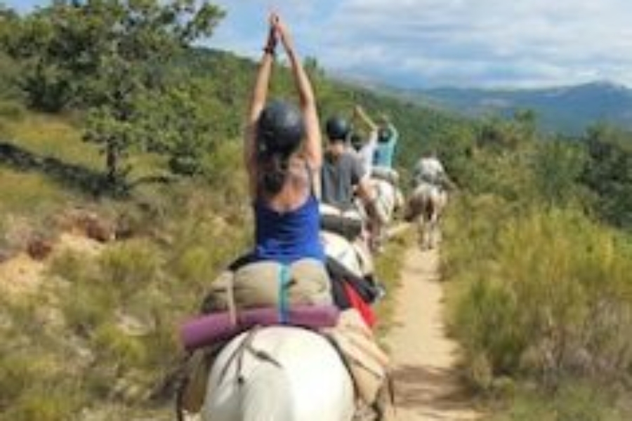 Yoga-et-cheval–236×300