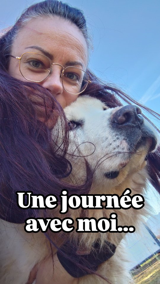 Aller viens, je t'emmène une journée avec moi pour la préparation de mon départ en vacances !

Le foin est au sec, les bacs d'eau sont propres, les chiens ont un nouveau parc et des croquettes en stock, les voitures sont prêtes à rouler, tout est pensé pour faciliter la tâche au maximum aux personnes qui vont me remplacer.

Je laisse la ferme et mes animaux non sans appréhension, mais je remercie infiniment mes amis qui prennent le relais et me permettent ainsi de partir en vacances deux semaines l'esprit (presque) tranquille ! Vous êtes des amis en or ! 🫶

À dans deux semaines !

.

#vacances #holidays #fermetureannuelle