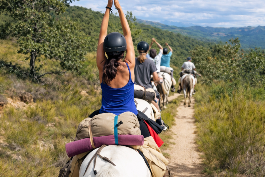 file_00000000a3907246920eb9e440504ee3