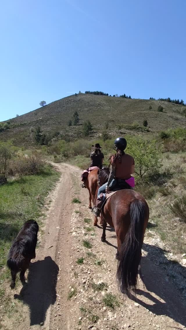 Première rando de la saison aux Damias pour finir la semaine de formation rando de Cassandre ! Manon et Flo nous ont rejoints pour le weekend et découvrent les Damias pour la première fois ! C'est le paradis pour tout le monde !

.

#rando #cheval #meouge #voyageàcheval #sisteronbuech