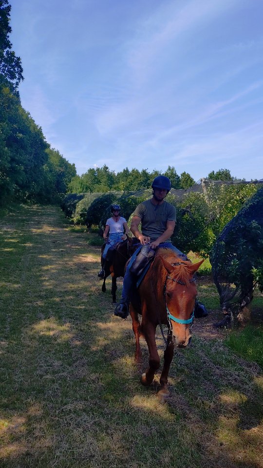 Quelle meilleure façon de commencer la semaine ?? J'espère que vous avez tous passé un merveilleux lundi ! 😃

.

#balade #cheval #horsemanship #chevauxheureux #foret