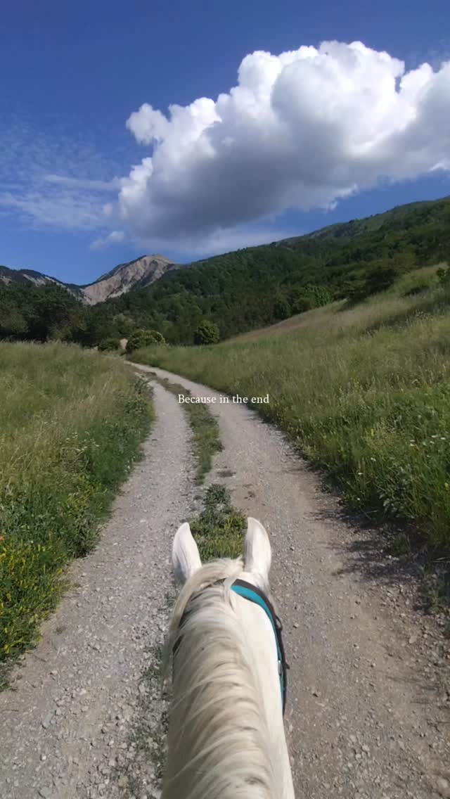 Make your life spectacular ! C'est exactement ce qu'on fait ici à la Ferme équestre du Grand Bois !

C'était vraiment magique cette randonnée de 5 jours dans les Monges ! La prochaine sera en septembre sur https://grandboismison.addock.co/ ! Réserve vite ta place il n'en reste pas beaucoup !

.

#randonnéecheval #passioncheval #passionrando #passionmontagnes #randocheval