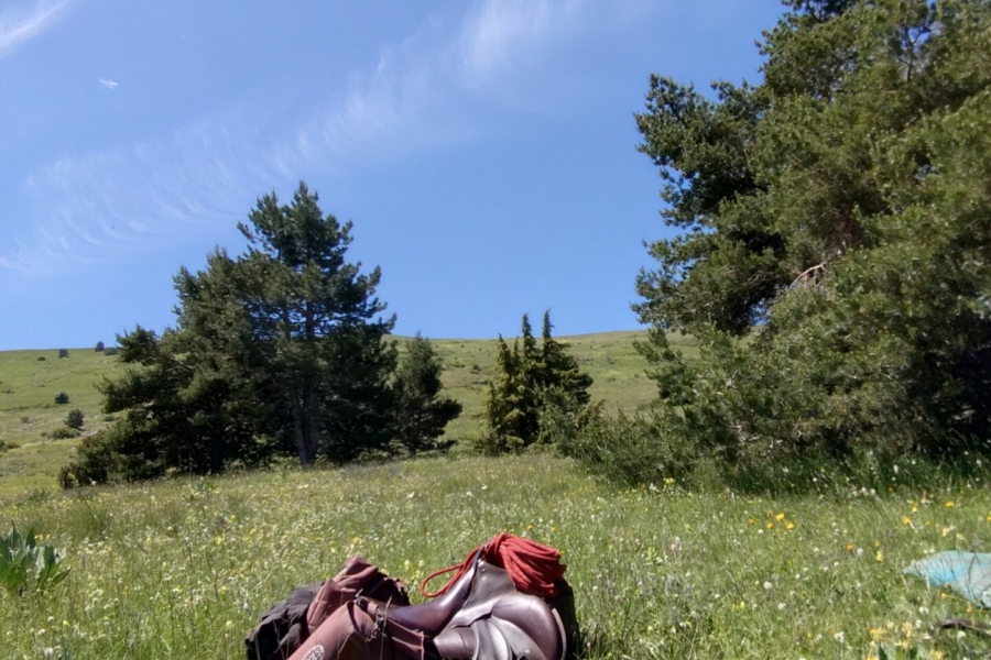20260608_124058091