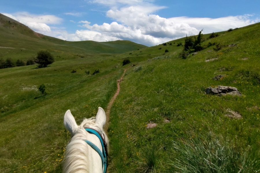 20260609_132211106